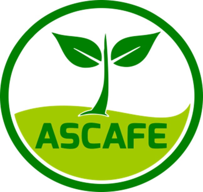 Imagen de WhatsApp 2025-03-18 a las 12.17.50_309ada97