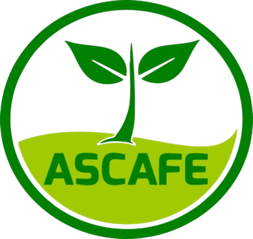 WhatsApp_Image_2025-12-17_at_12.20.23_PM-removebg-preview